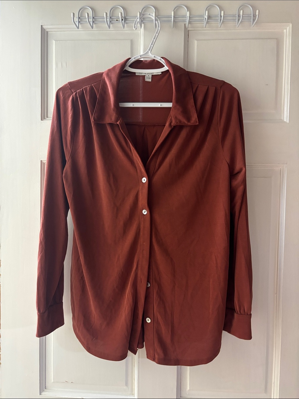 Green Envelope Women's soft Button-Down Shirt in Rust